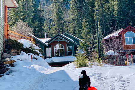 Blissful Shimla and Manali